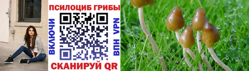 Галлюциногенные грибы ЛСД  Купить где  Пласт 